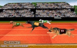 Dog Racing game - dog games screenshot 5