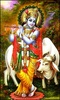 Lord Krishna Photos Wallpaper screenshot 3