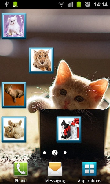 Meowing Cat Sounds - Preview 5