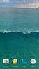 Dolphins Video Live Wallpaper screenshot 5