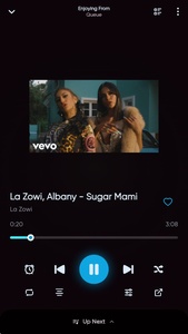 Bloomee Music screenshot