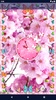Cherry Blossom Live Wallpaper screenshot 7