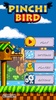 Pinchi Bird screenshot 8