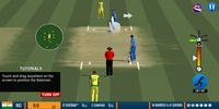 World Cricket Battle 2 screenshot 13