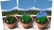 Flower Garden screenshot 10