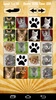 Cats Memory Game screenshot 1