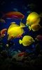 Aquarium Live Wallpaper screenshot 2