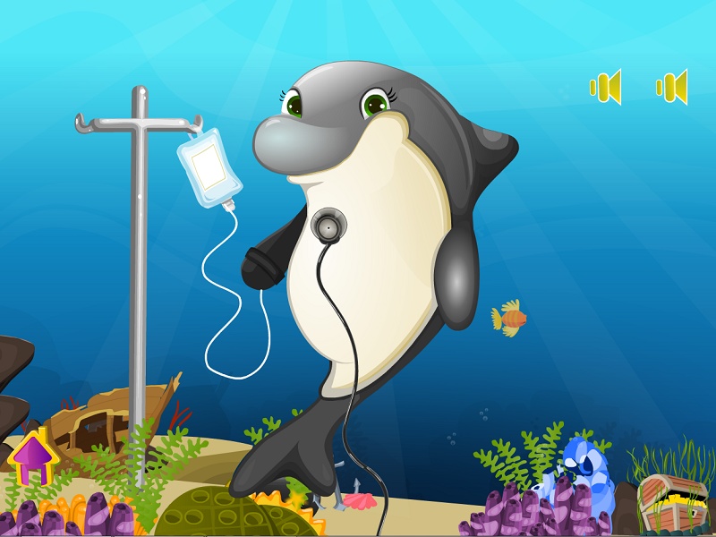 Dolphin Baby Birth - Preview 8