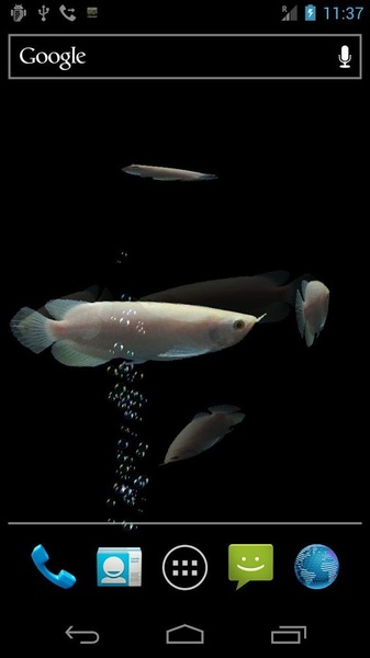 Arowana Free - Preview 1
