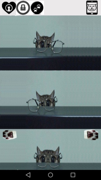 cute funny cat - Preview 3