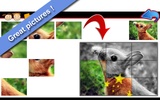 Animal Puzzles 4 screenshot 2