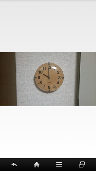 Picasa Plain Viewer - Preview 1