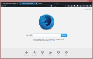 Firefox Developer Edition screenshot 2