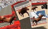 Angry Bull Attack Arena Sim 3D screenshot 14