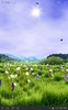 Spring Meadow Free screenshot 1