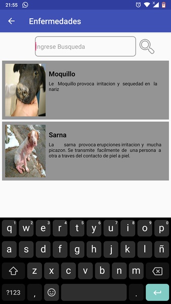 Veterinaria - Preview 2