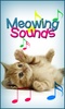 Meowing Cat Sounds screenshot 8