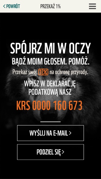 WWF Poradnik - Preview 3