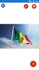 Senegal Flag Wallpaper: Flags and Country Images screenshot 4