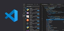 Visual Studio Code feature