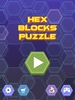 Hex Blocks Puzzle screenshot 6