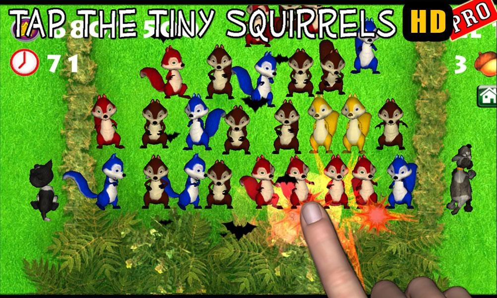 Tap The Tiny Squirrels HD Pro - Preview 1