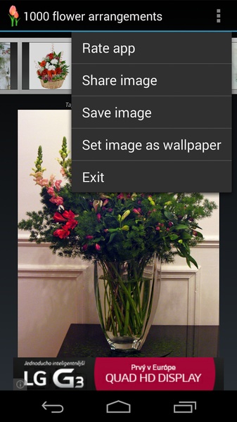 1000 flower arrangements - Preview 4