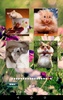 Hamster Puzzles screenshot 3