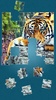 Tigers Jigsaw Puzzle screenshot 6