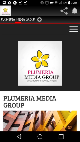 PLUMERIA MEDIA GROUP - Preview 5
