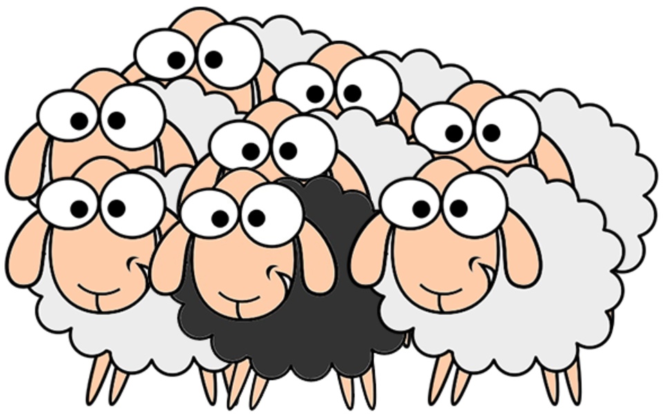 Crossing Sheep - Preview 5
