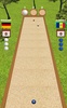 Bocce Game screenshot 2
