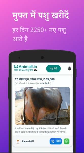 Animall - Preview 1
