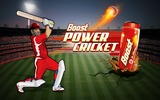 Boost Power Cricket screenshot 1