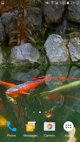 Koi Fish 3D - Preview 3