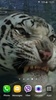 Tiger Video Live Wallpaper screenshot 12