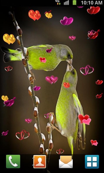 Love Birds Live Wallpaper - Preview 15