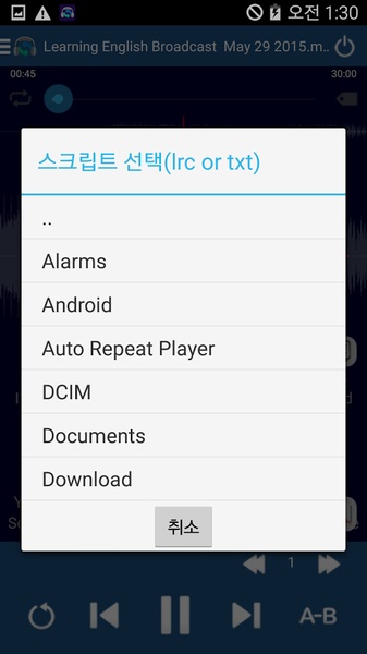 Auto Repeat Player - Preview 4