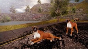Boxer Dog Simulator screenshot 1