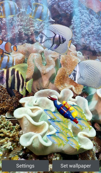 The real aquarium - HD - Preview 12