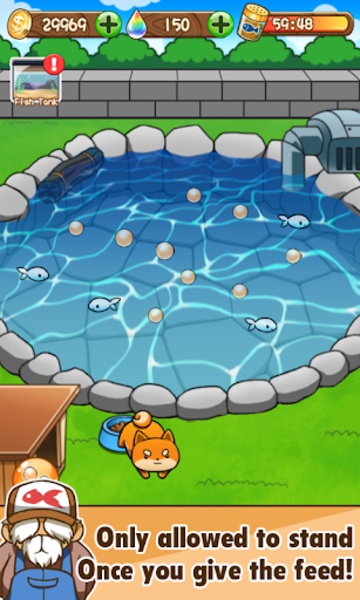 Goldfish Collection - Preview 6
