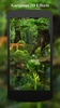 Dawn Forest 3D screenshot 8