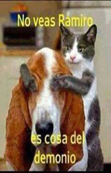 Imagenes de divertidos memes - Preview 2