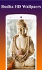 Lord Buddha Wallpapers HD screenshot 1