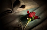 Romantic Music Offline screenshot 7