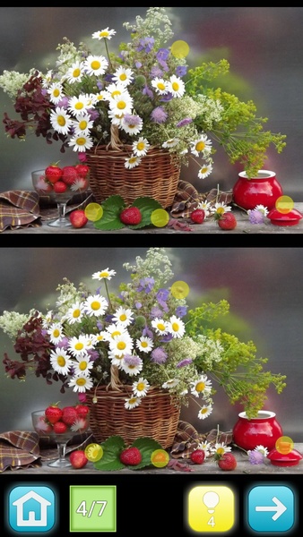 Lemon - Find Differences - Preview 8