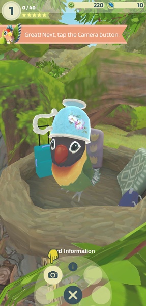 Bird bnb - Preview 1