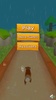 Temple Dog Run screenshot 6