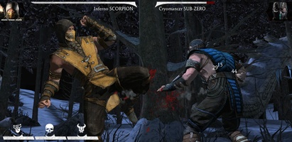 Mortal Kombat screenshot 5