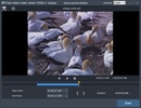 Free Video Cutter Joiner screenshot 2